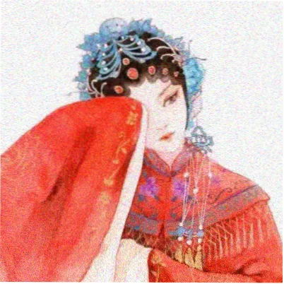 读者苏晚的头像